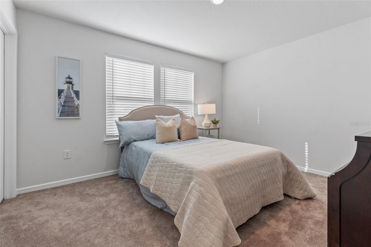 6248 Bradford Woods Dr, Zephyrhills, FL 33542 Photo