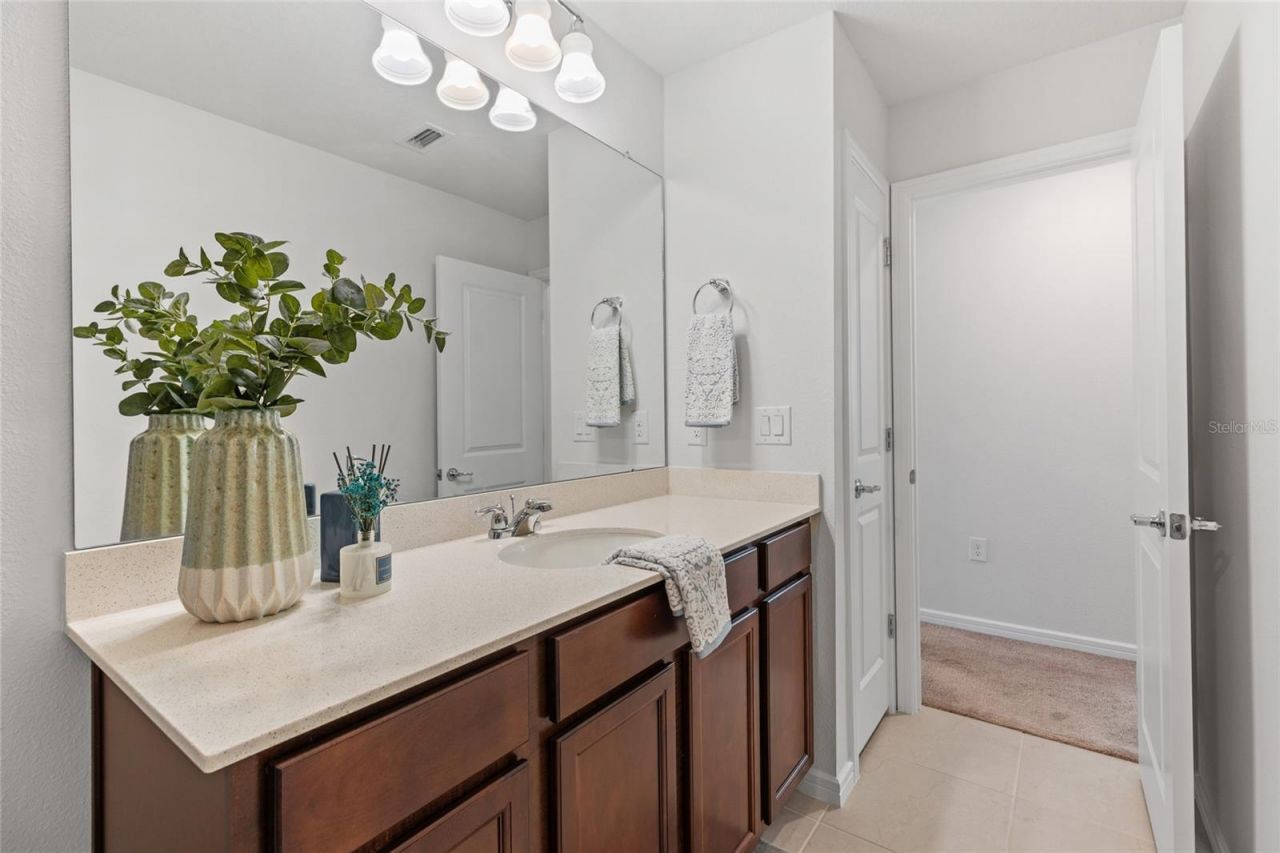 6248 Bradford Woods Dr, Zephyrhills, FL 33542 Photo