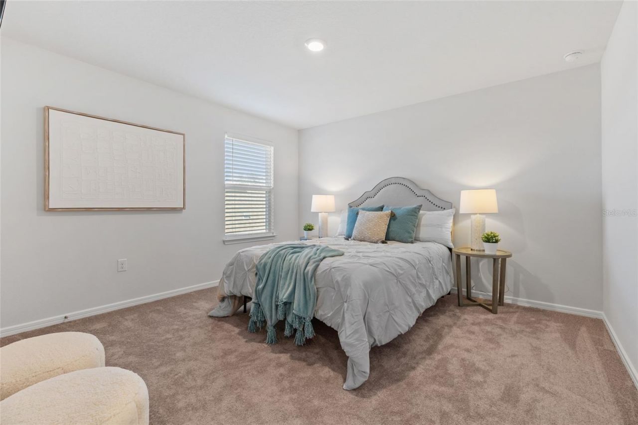 6248 Bradford Woods Dr, Zephyrhills, FL 33542 Photo