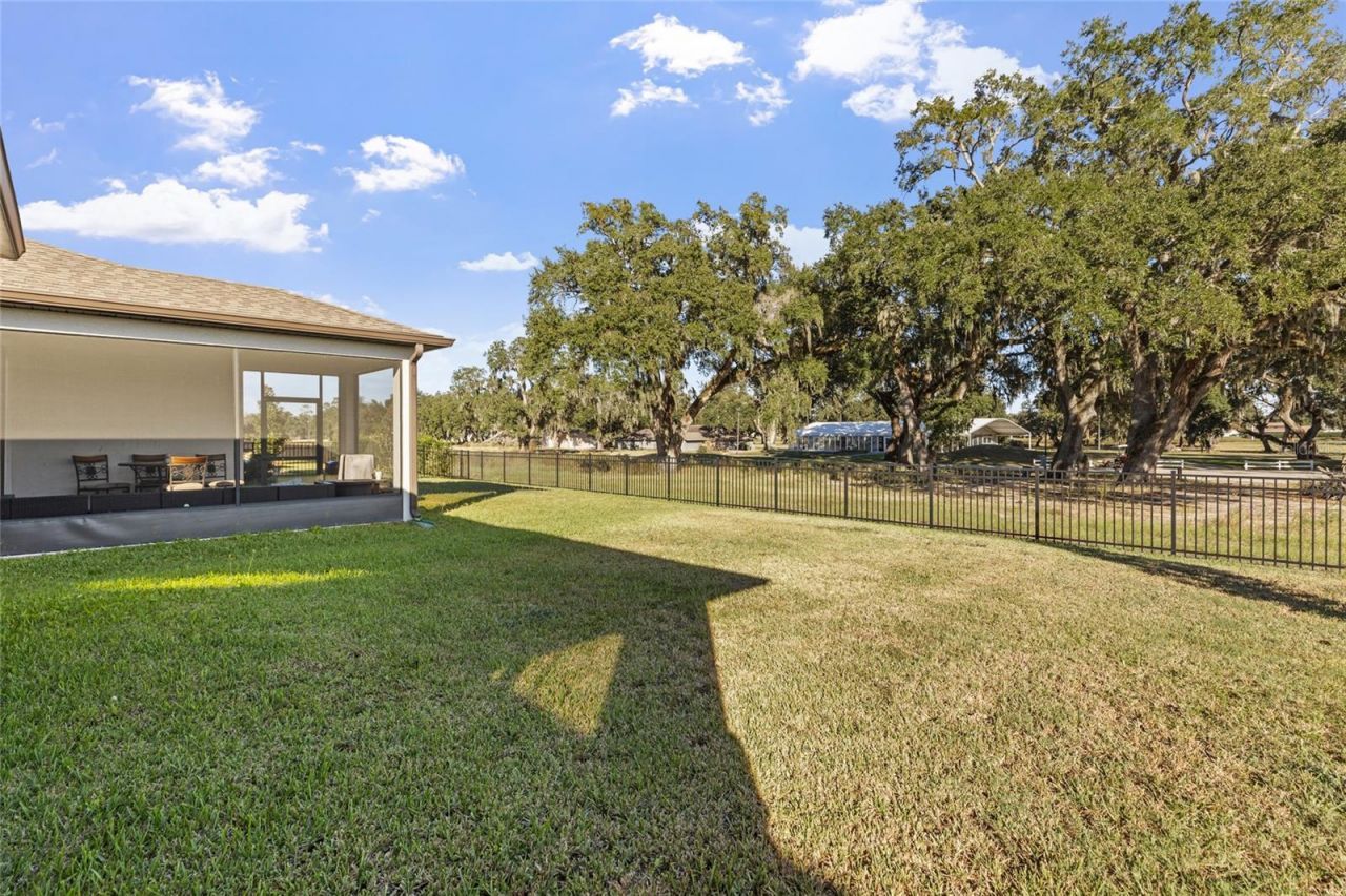 6248 Bradford Woods Dr, Zephyrhills, FL 33542 Photo