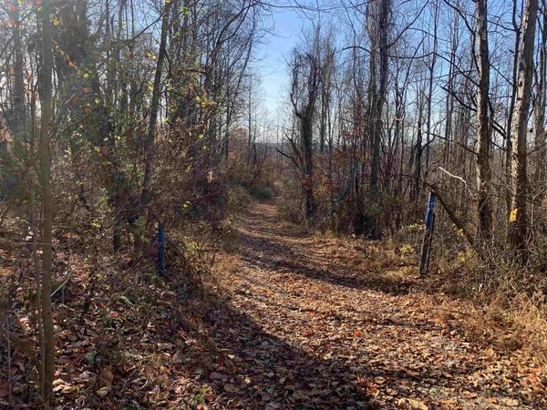 TBD Narrows Road, Philippi, WV 26416