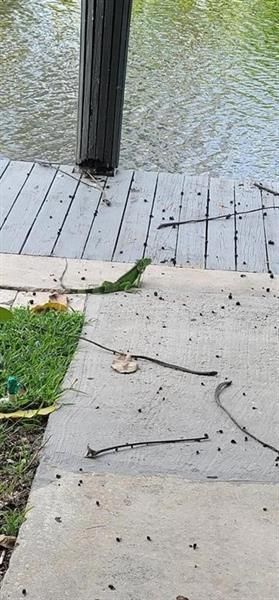 1401 NE 57th Place, Unit 11, Fort Lauderdale, FL 33334 Photo