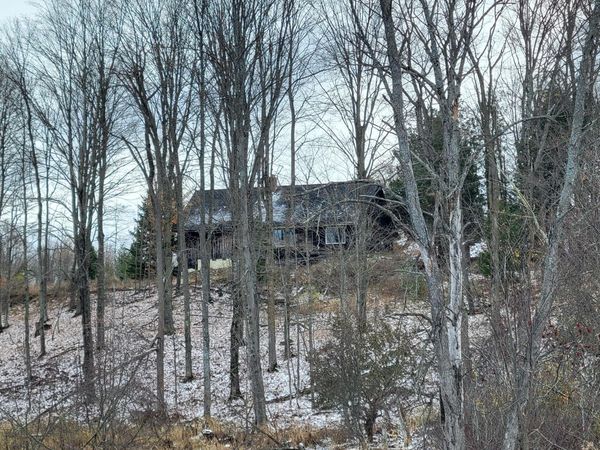 8435 Wolf Creek Road, Herron, MI 49744