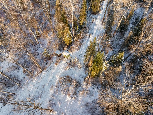 V/L 18 Acr Trowbridge, Wolverine, MI 49799