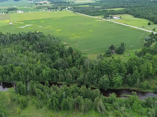 8435 Wolf Creek Road, Herron, MI 49744