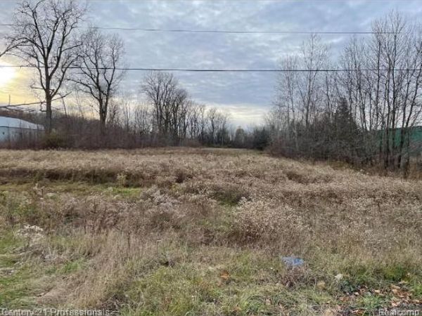 Van Dyke Road, Almont Twp, MI 48003