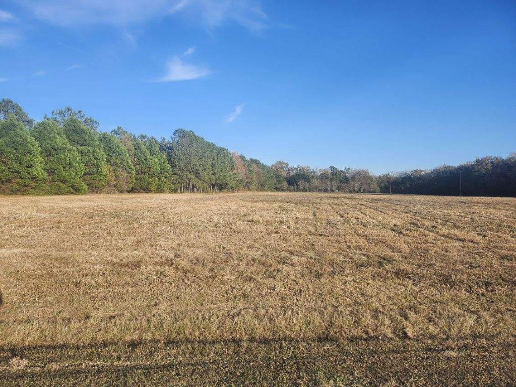 0 Broxton Bridge Road Photo 5