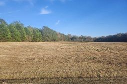 0 Broxton Bridge Road photo 4