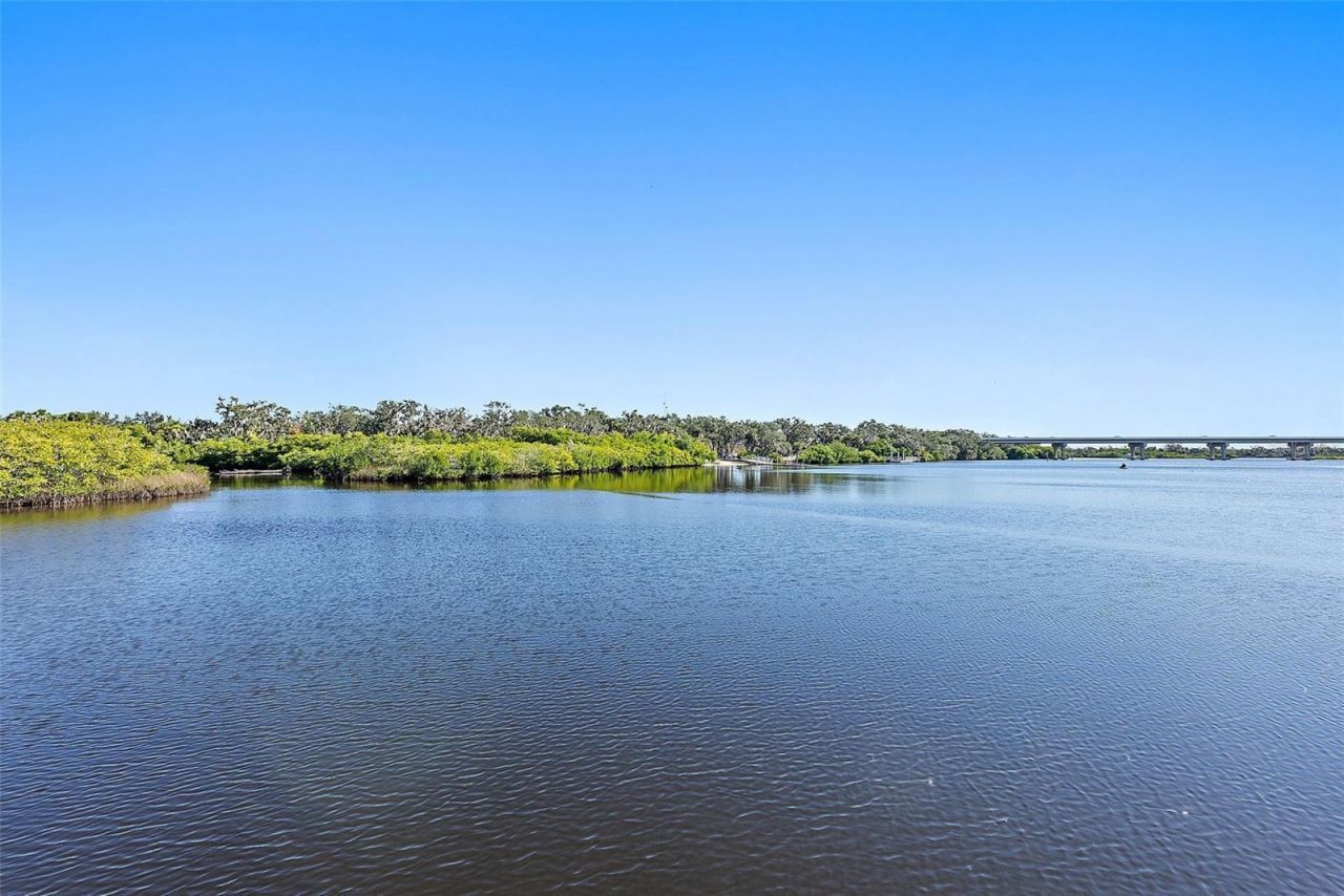11739 River Shores Trail, Parrish, FL 34219 Photo