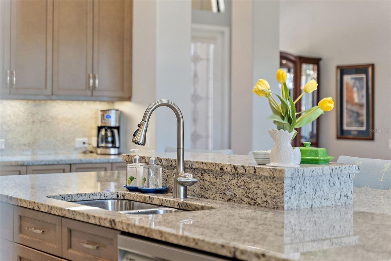 11739 River Shores Trail, Parrish, FL 34219 Photo