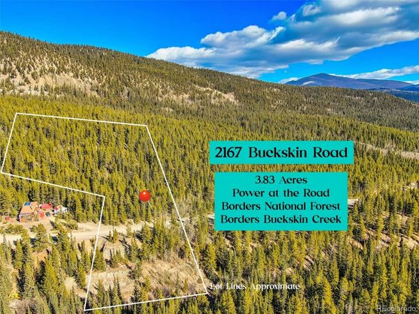 2167 Buckskin Road , Alma, CO 80420