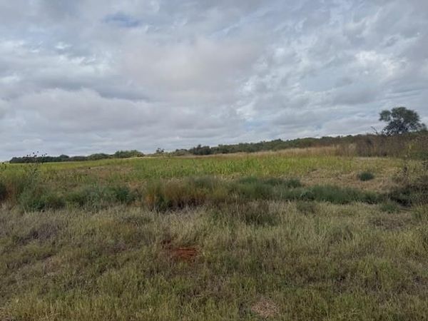 TBD FM 57, 160 Acres, Roby, TX 79543