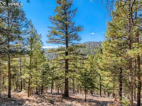 0 Elsie Road, Conifer, CO 80433