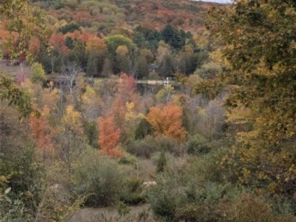 000 Veldkamp Road, Central Lake Twp, MI 49622