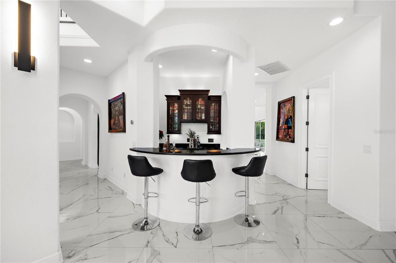 17336 Ballmont Park Drive, Odessa, FL 33556 Photo