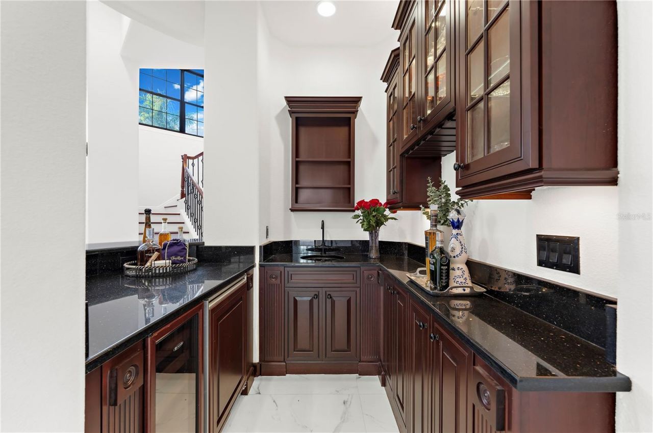 17336 Ballmont Park Drive, Odessa, FL 33556 Photo