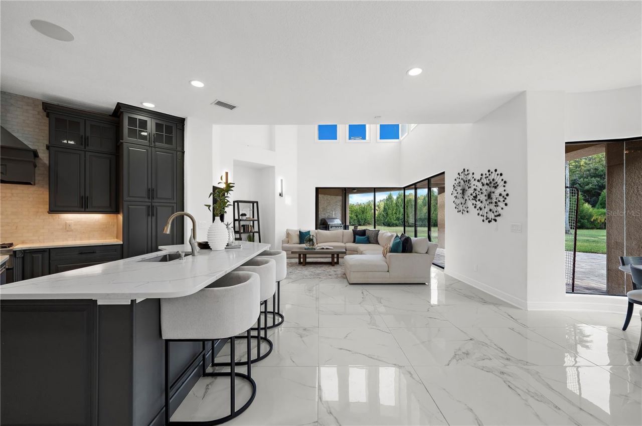 17336 Ballmont Park Drive, Odessa, FL 33556 Photo