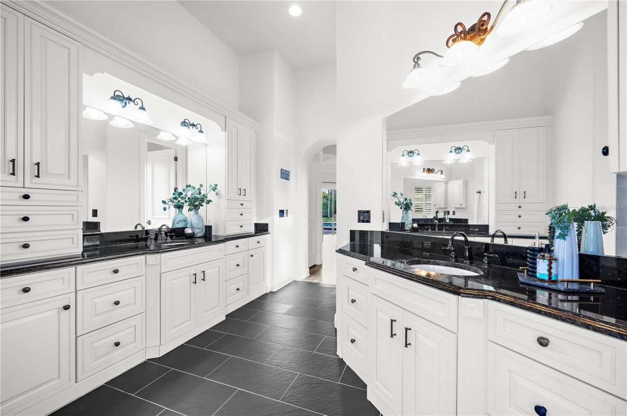 17336 Ballmont Park Drive, Odessa, FL 33556 Photo