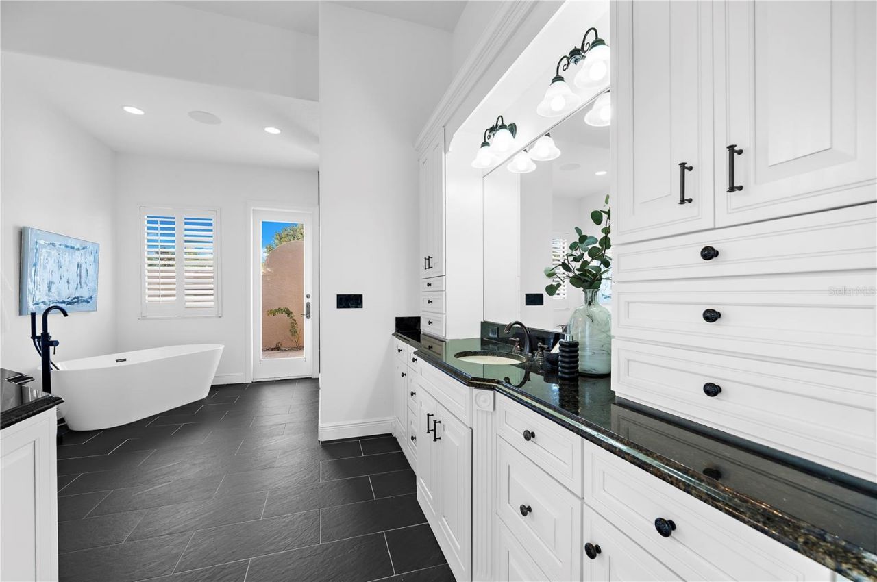 17336 Ballmont Park Drive, Odessa, FL 33556 Photo