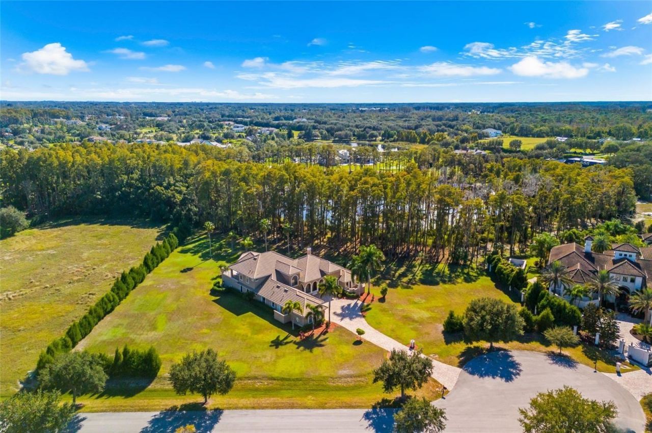 17336 Ballmont Park Drive, Odessa, FL 33556 Photo