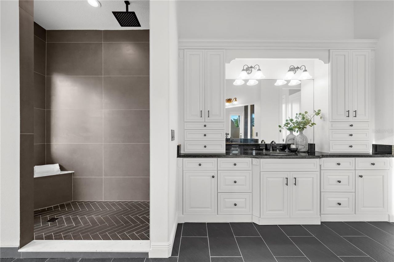 17336 Ballmont Park Drive, Odessa, FL 33556 Photo