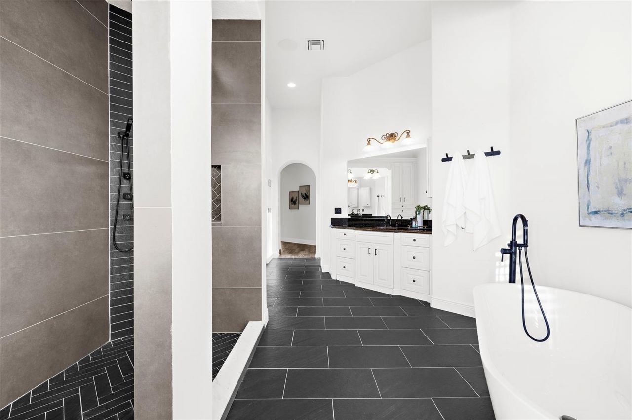 17336 Ballmont Park Drive, Odessa, FL 33556 Photo