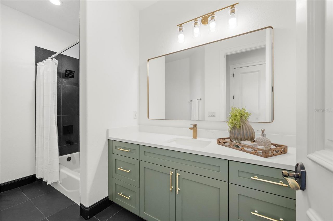 17336 Ballmont Park Drive, Odessa, FL 33556 Photo