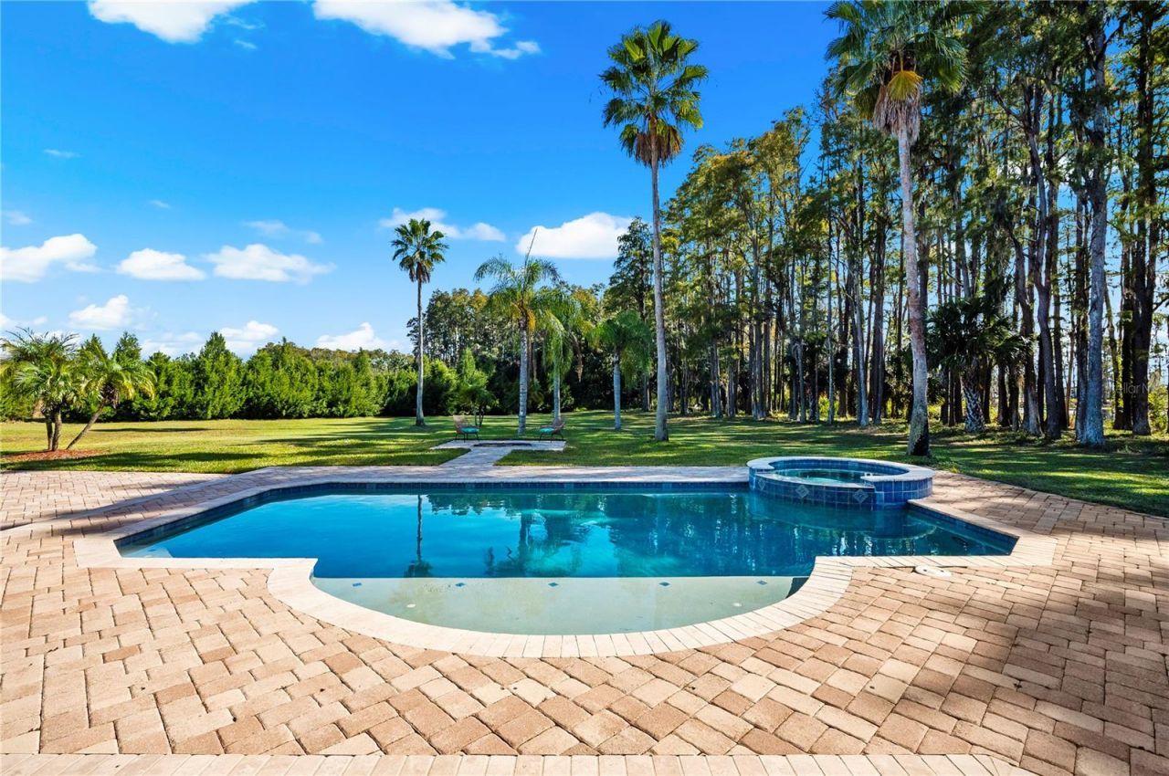 17336 Ballmont Park Drive, Odessa, FL 33556 Photo