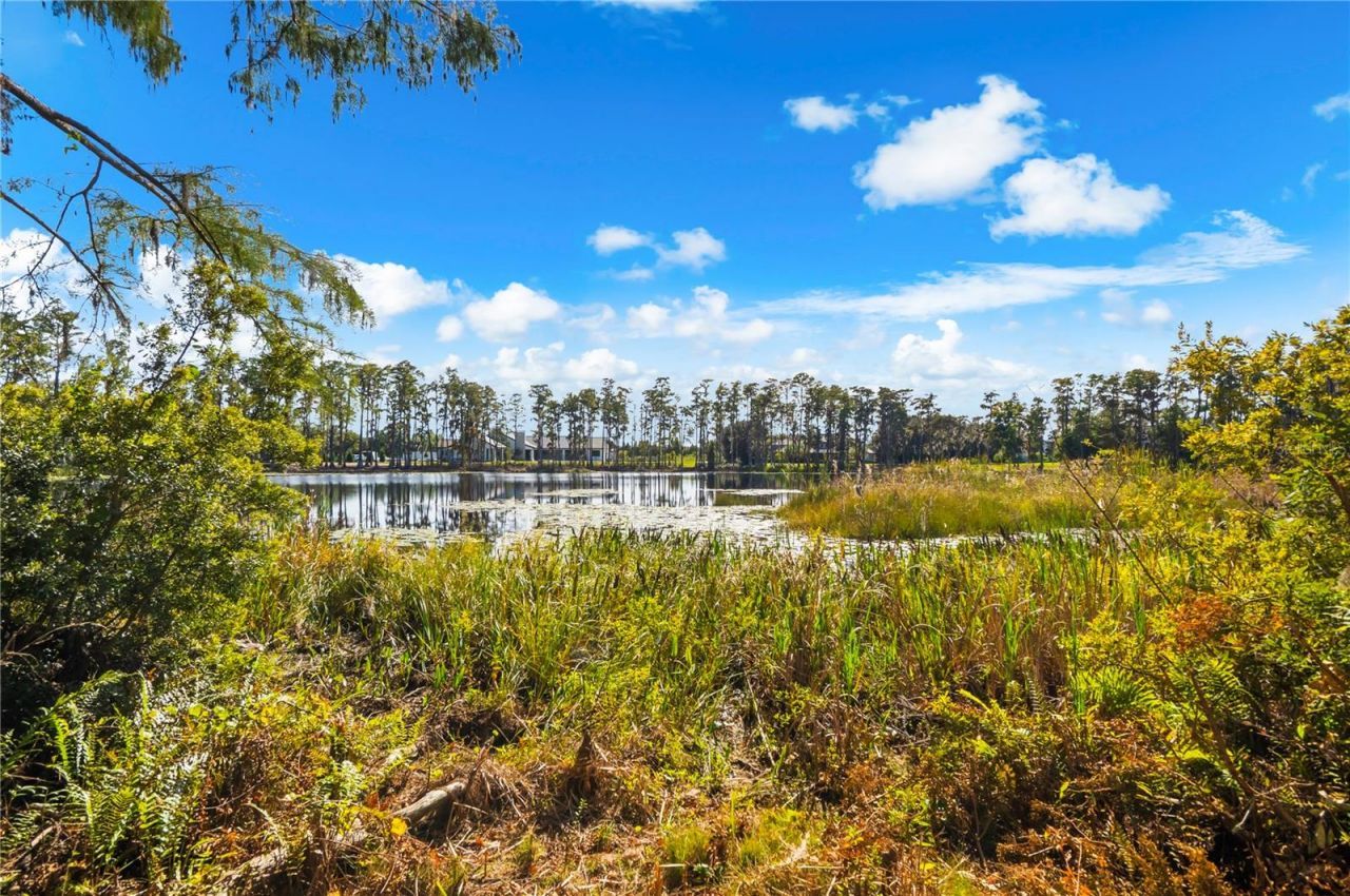 17336 Ballmont Park Drive, Odessa, FL 33556 Photo