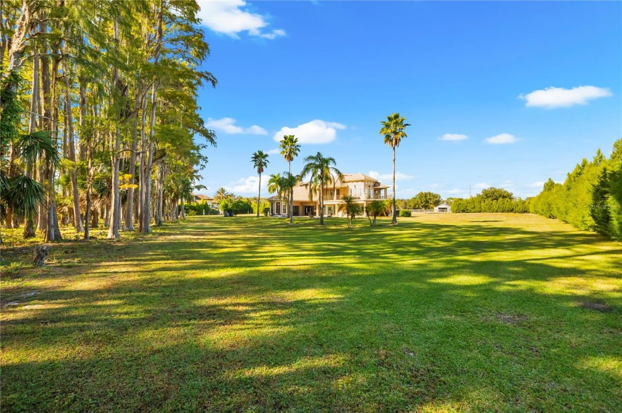 17336 Ballmont Park Drive, Odessa, FL 33556 Photo