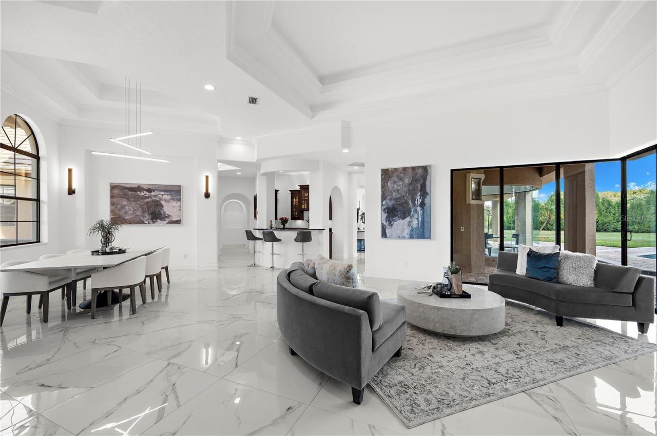 17336 Ballmont Park Drive, Odessa, FL 33556 Photo