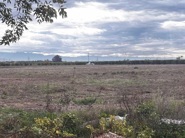 39088 Road 104 Dinuba, CA Road, Dinuba, CA 93618