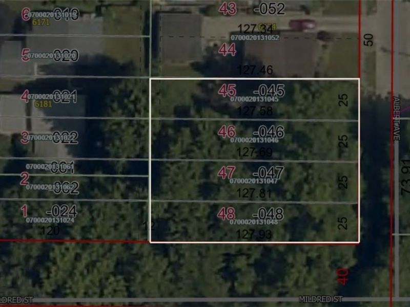 V/L Albert Avenue, North Ridgeville, OH 44039 Photo 2