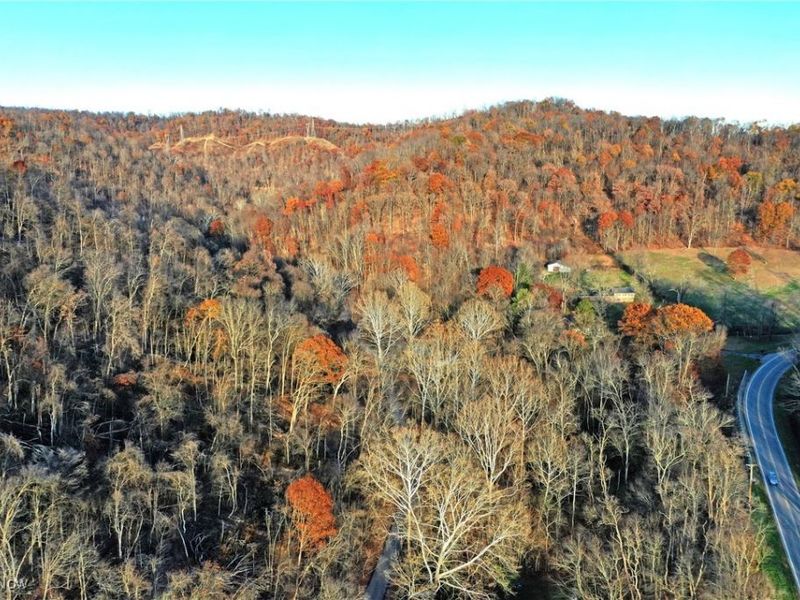 247 Township Road 306, Hammondsville, OH 43930 Photo 49