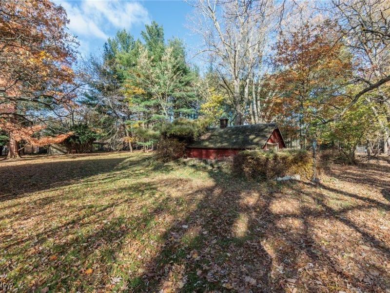 24105 Chardon Road, Euclid, OH 44143 Photo 35