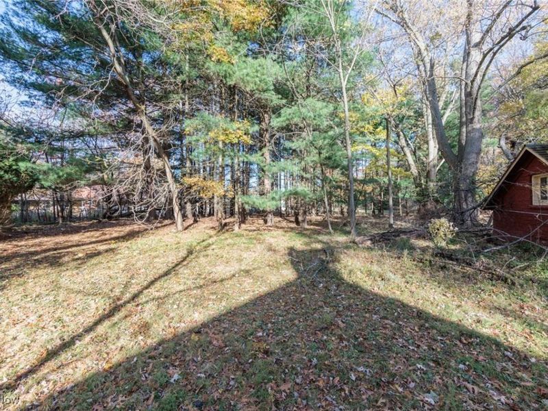 24105 Chardon Road, Euclid, OH 44143 Photo 37