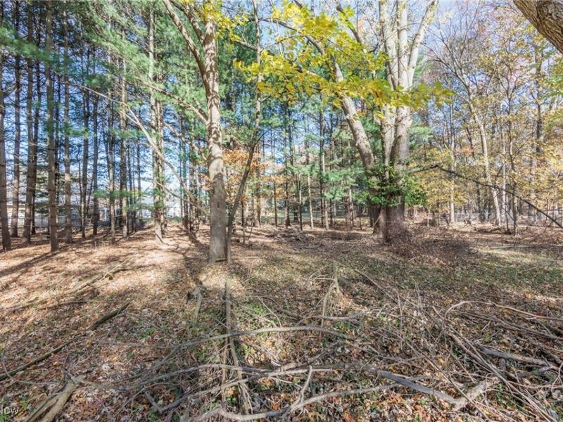 24105 Chardon Road, Euclid, OH 44143 Photo 38