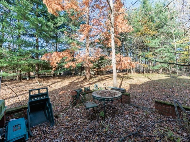 24105 Chardon Road, Euclid, OH 44143 Photo 42