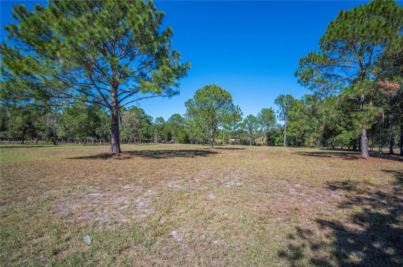 2525 Ranchland Acres Road, Lakeland, FL 33809 Photo