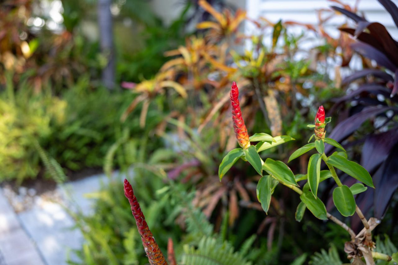 3720 Flagler Avenue, Key West, FL 33040 Photo