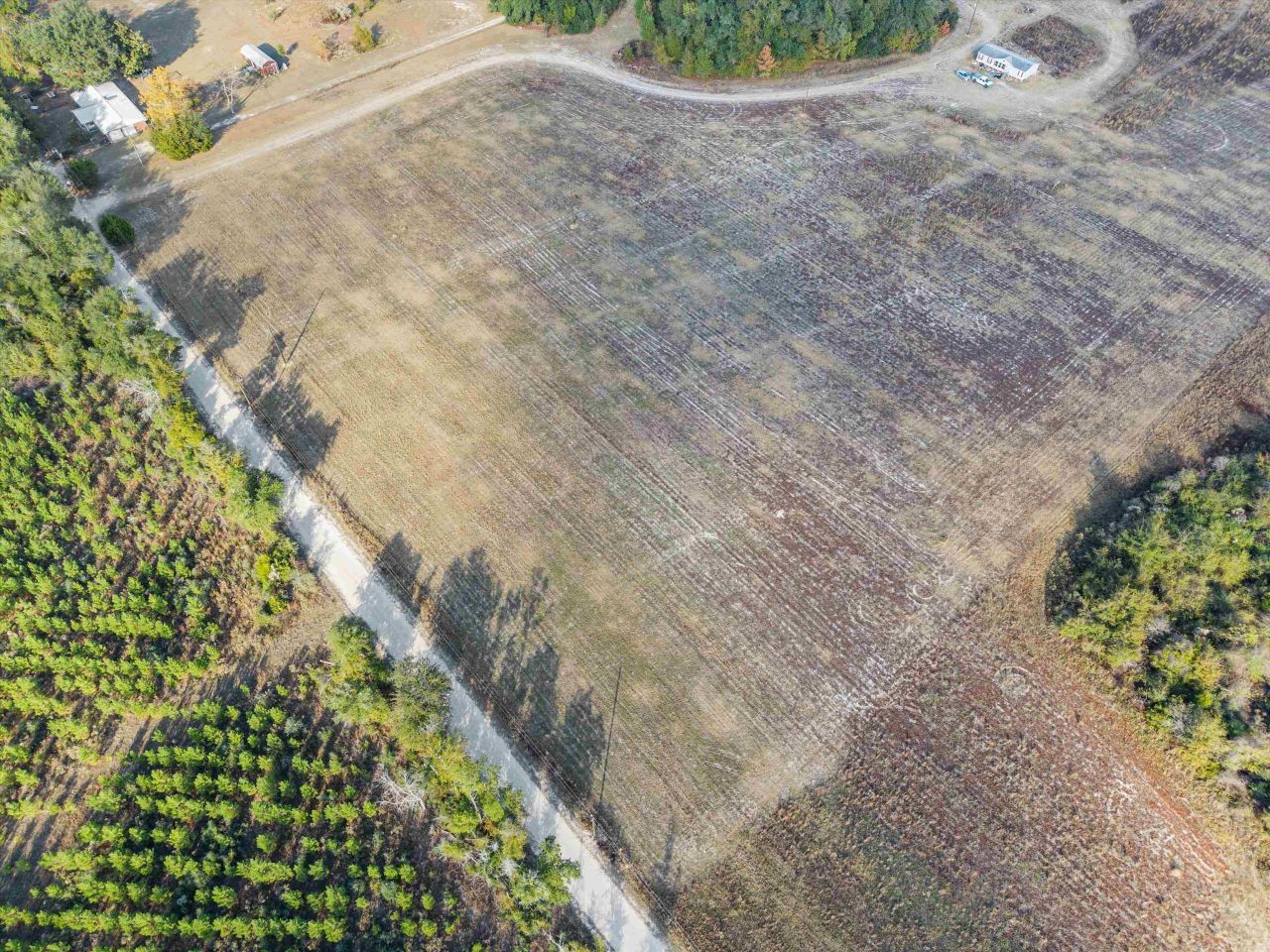 644 Treeline Road, Grand Ridge, FL 32442 Photo