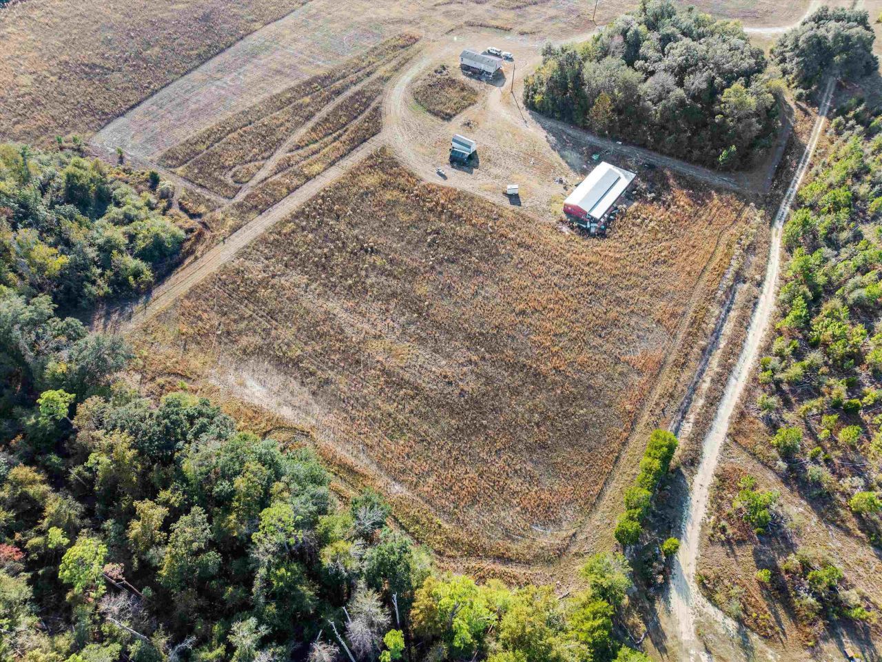 644 Treeline Road, Grand Ridge, FL 32442 Photo