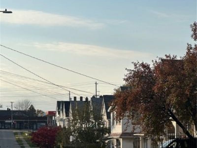 3613 Dawning Avenue, Cleveland, OH 44109 Photo 6