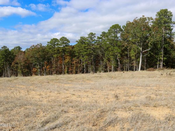 Tract 1 Hugh White State Park Road, Grenada, MS 38901