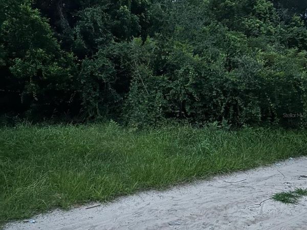 SE 135 LANE, UMATILLA, FL 32784