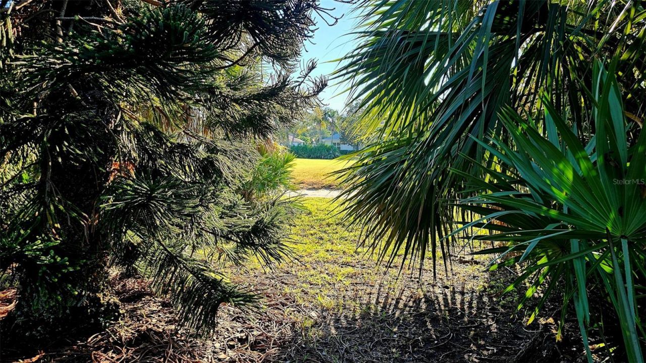 2815 Bay Side Drive, New Smyrna Beach, FL 32168 Photo