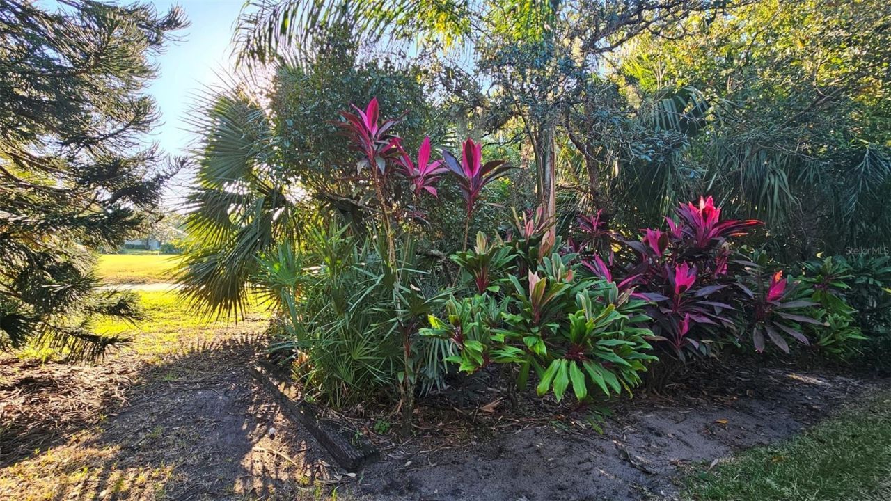 2815 Bay Side Drive, New Smyrna Beach, FL 32168 Photo