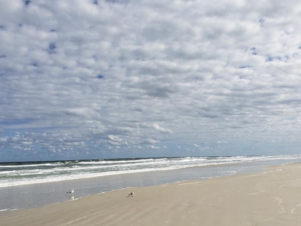 2815 Bay Side Drive, New Smyrna Beach, FL 32168 Photo