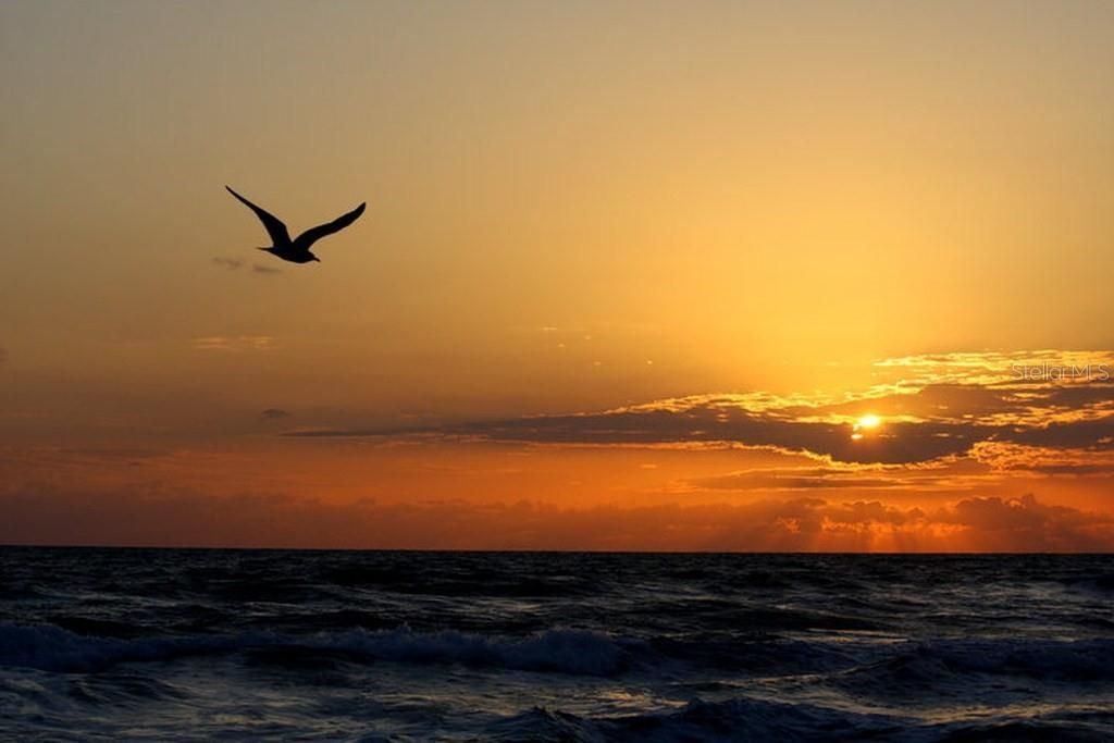 2815 Bay Side Drive, New Smyrna Beach, FL 32168 Photo