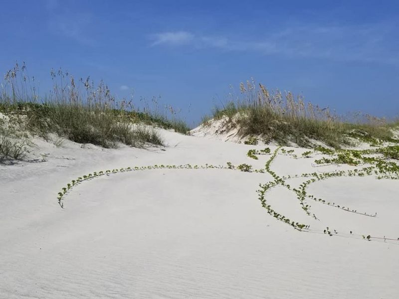 2815 Bay Side Drive, New Smyrna Beach, FL 32168 Photo